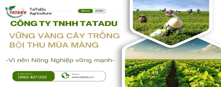 tatadu