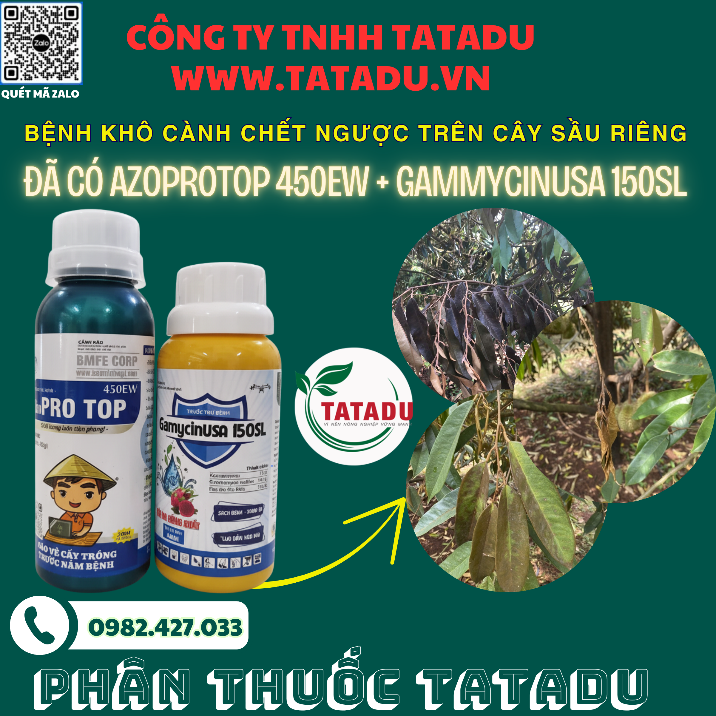 BENH KHO CANH CHET NGUOC TREN CAY SAU RIENG