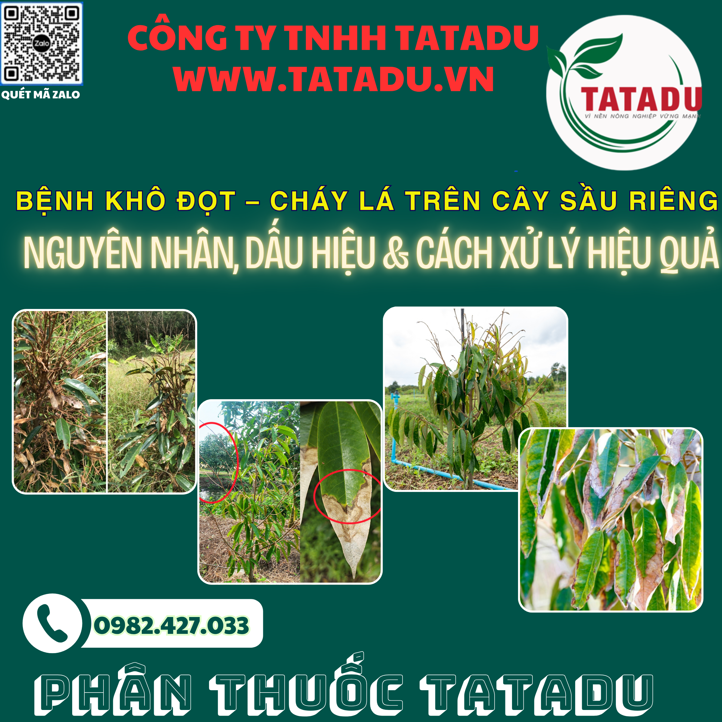 BENH KHO DOT – CHAY LA TREN CAY SAU RIENG