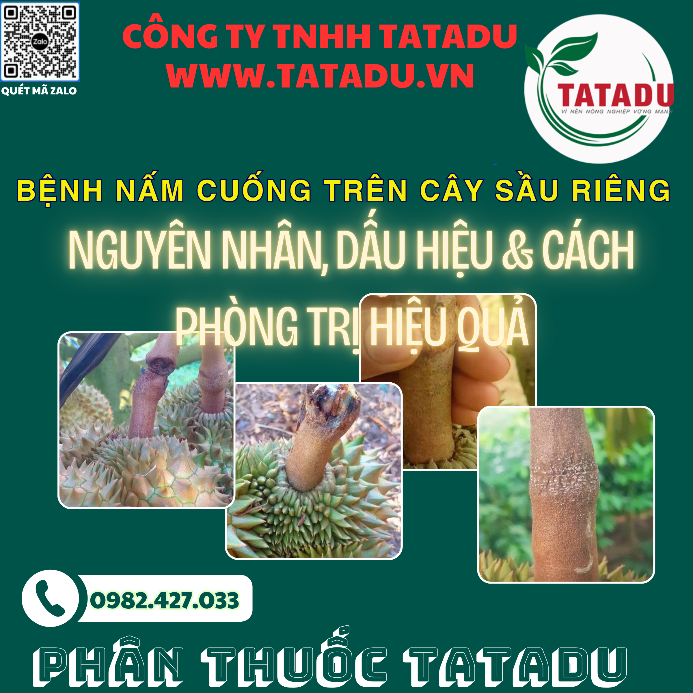 BENH NAM CUONG TREN CAY SAU RIENG