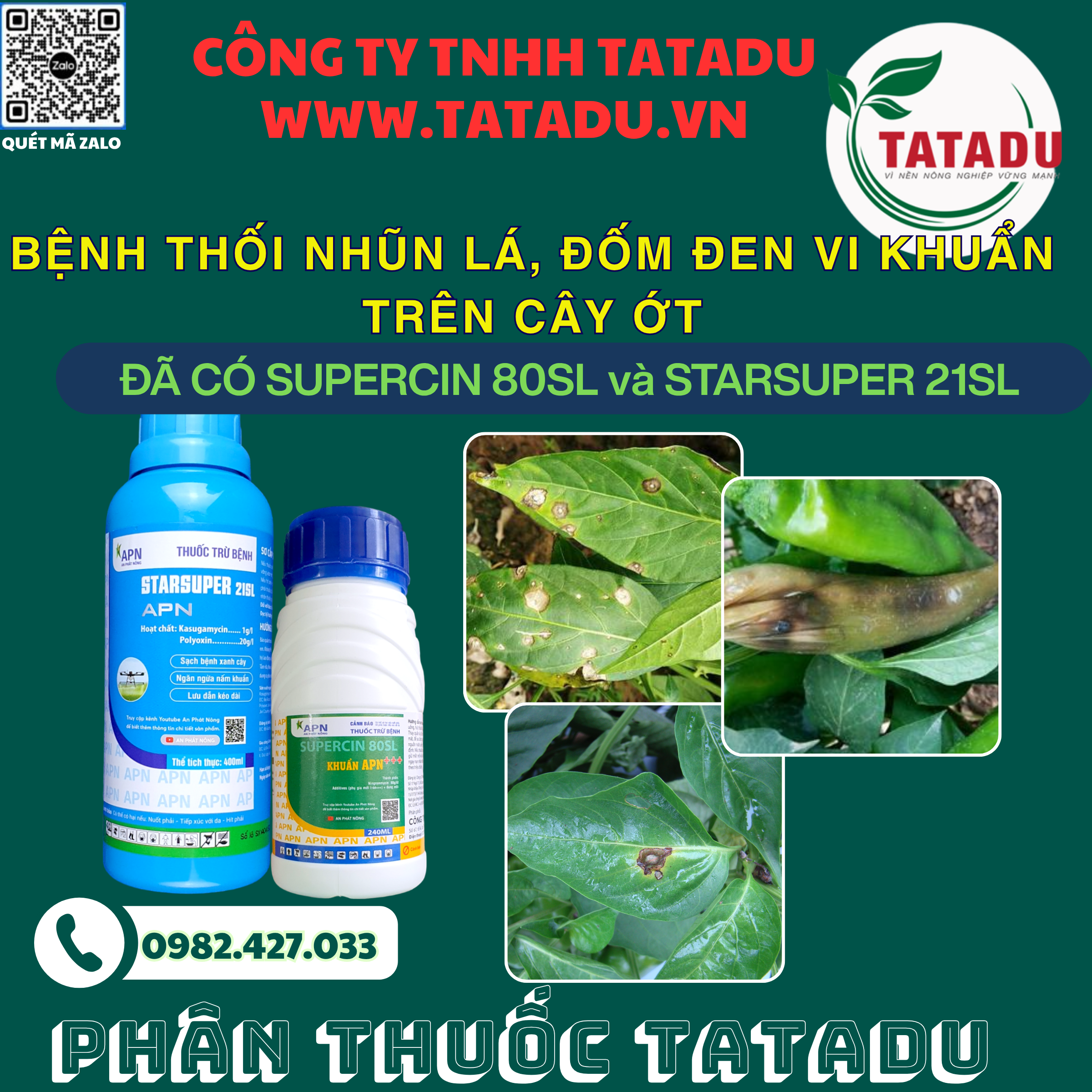 BENH THOI NHUN LA DOM DEN VI KHUAN TREN CAY OT