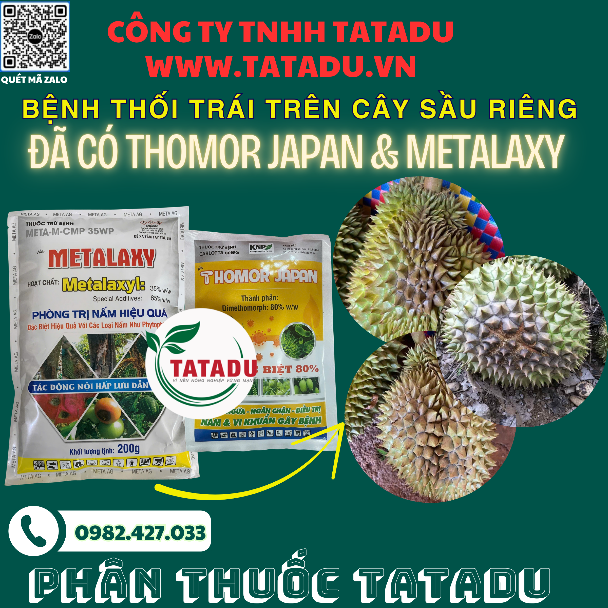 BENH THOI TRAI TREN CAY SAU RIENG NGUYEN NHAN CACH PHONG TRI HIEU QUA