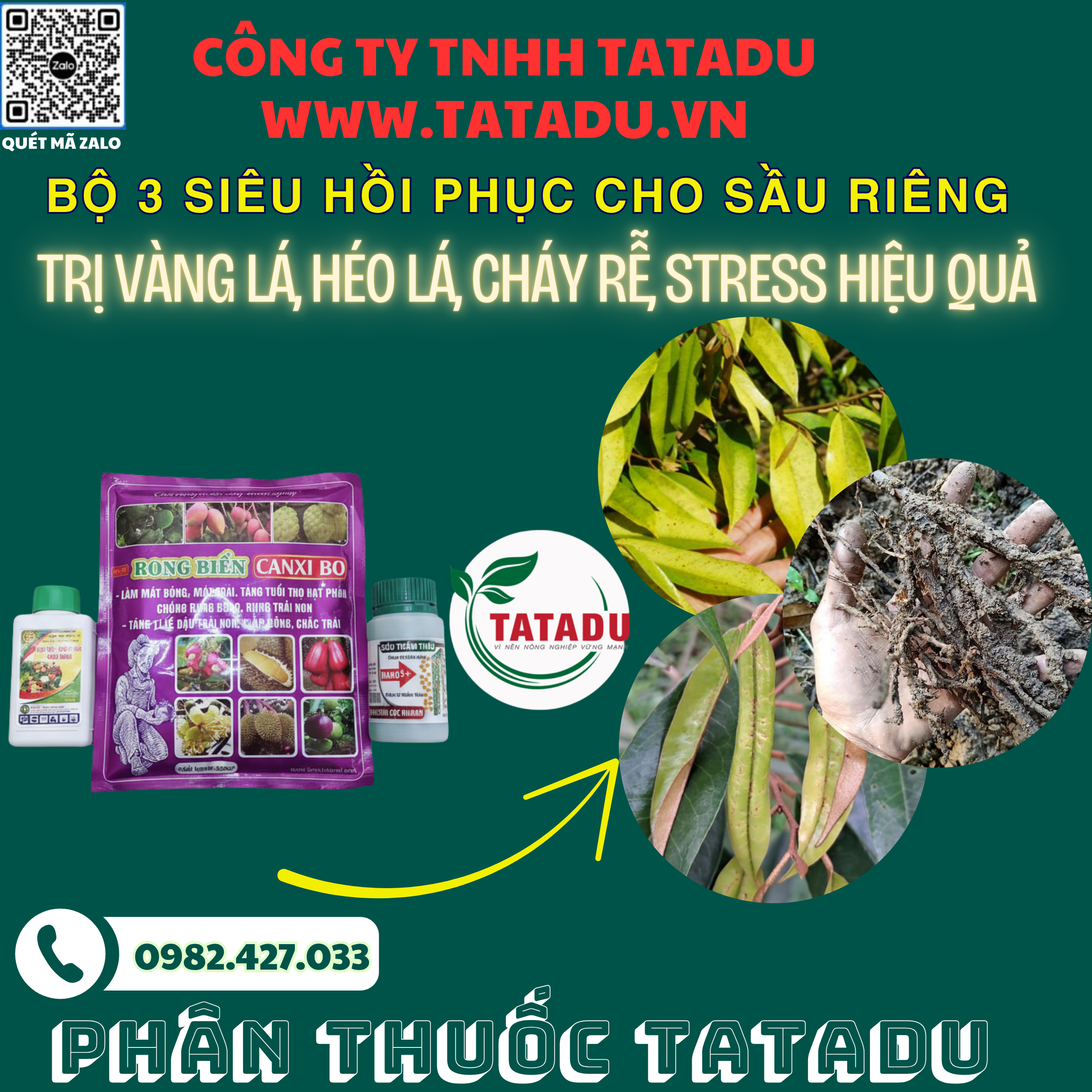 BO 3 SIEU HOI PHUC CHO SAU RIENG TRI VANG LA HEO LA CHAY RE STRESS HIEU QUA