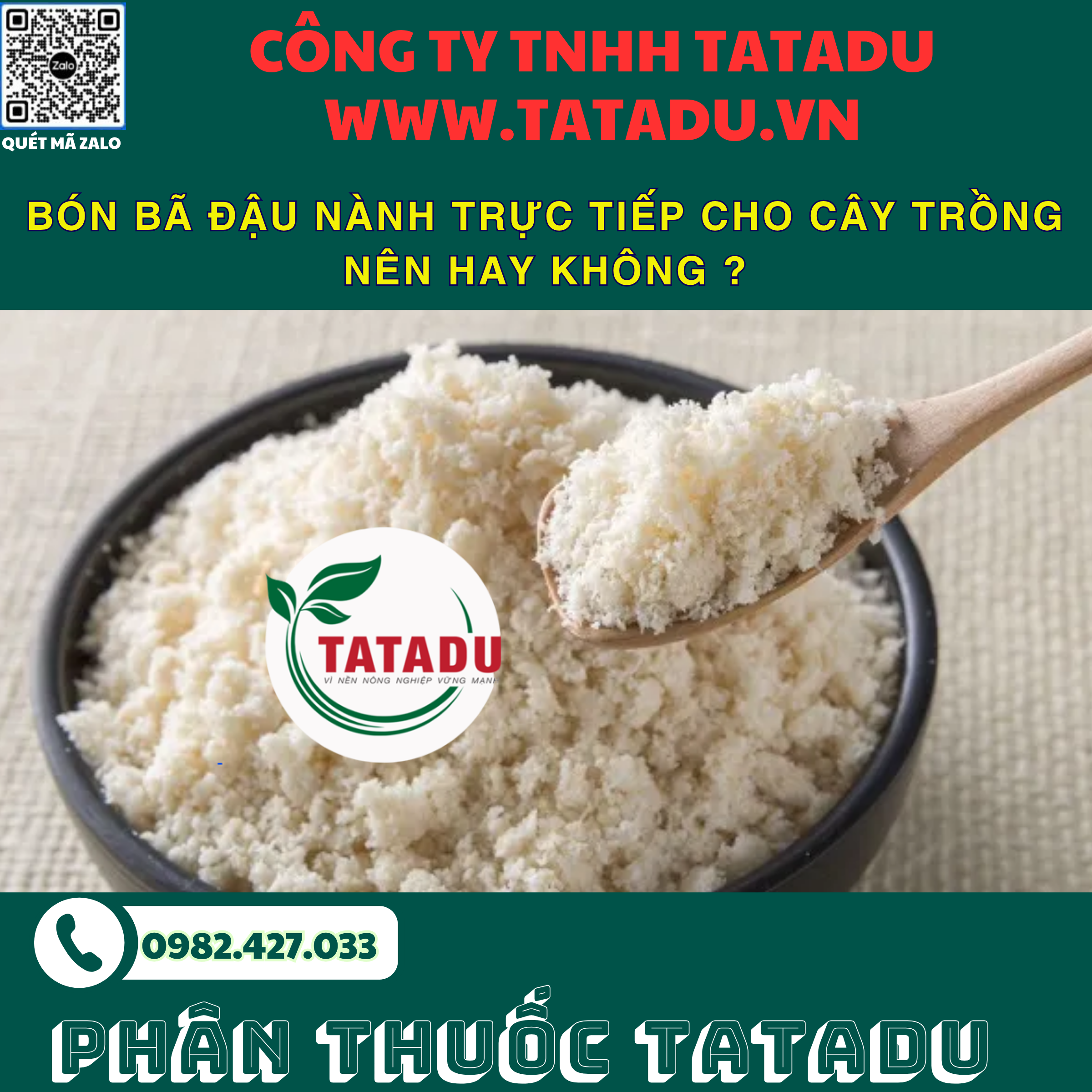 BON BA DAU NANH TRUC TIEP CHO CAY TRONG NEN HAY KHONG