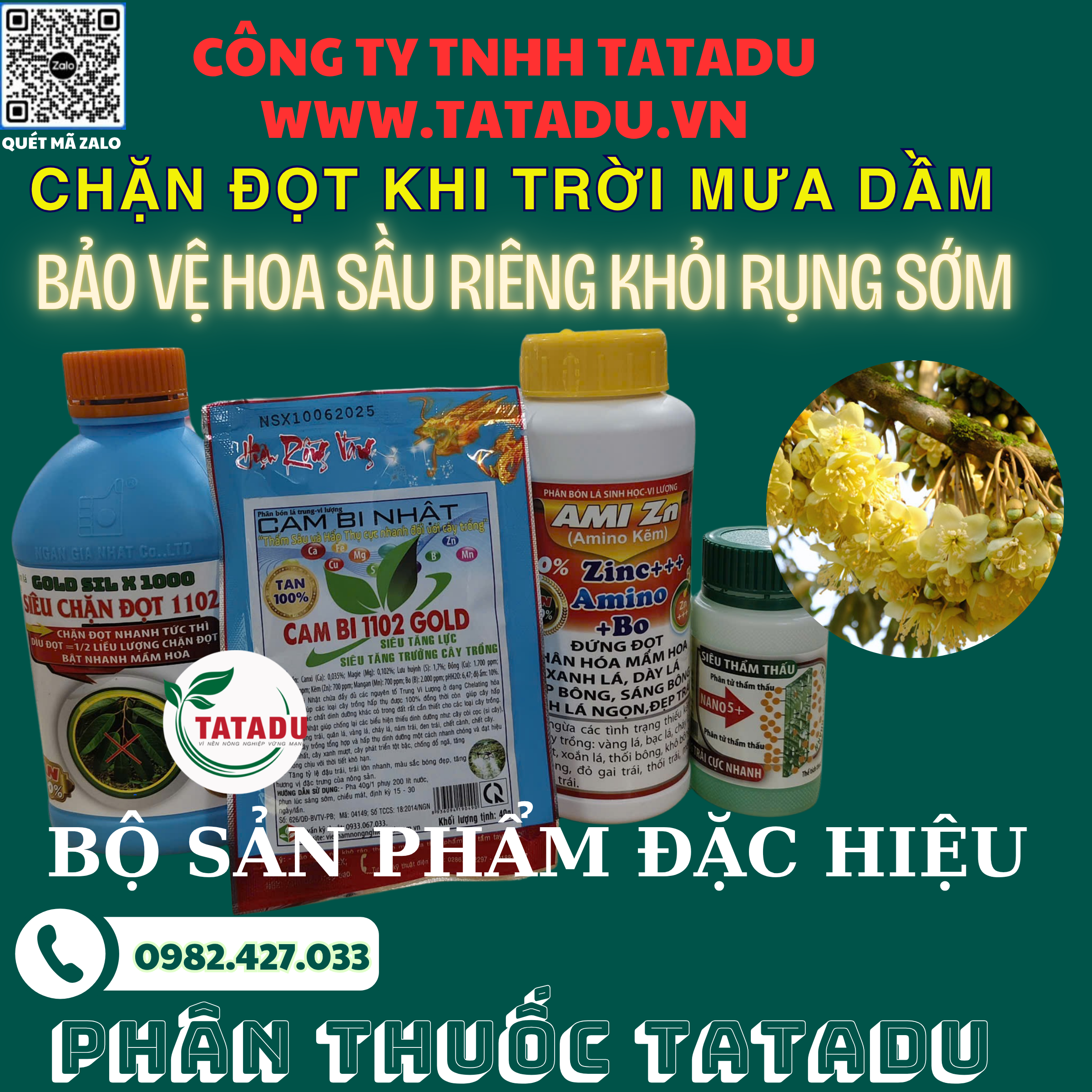 CHAN DOT KHI TROI MUA DAM BAO VE HOA SAU RIENG KHOI RUNG SOM