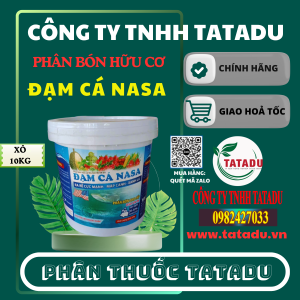 DAM CA NASA