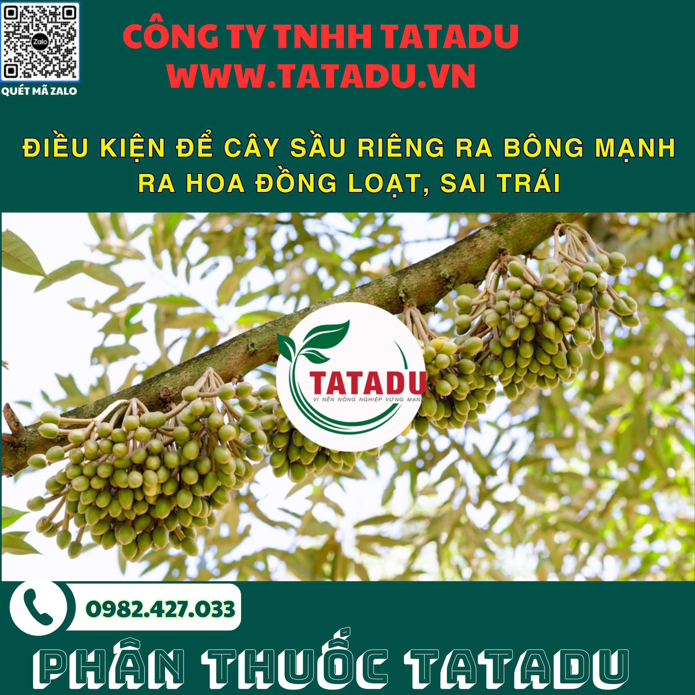 DIEU KIEN DE CAY SAU RIENG RA BONG MANH RA HOA DONG LOAT SAI TRAI