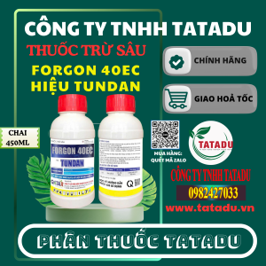 FORGON 40EC HIEU TUNDAN QUATAR