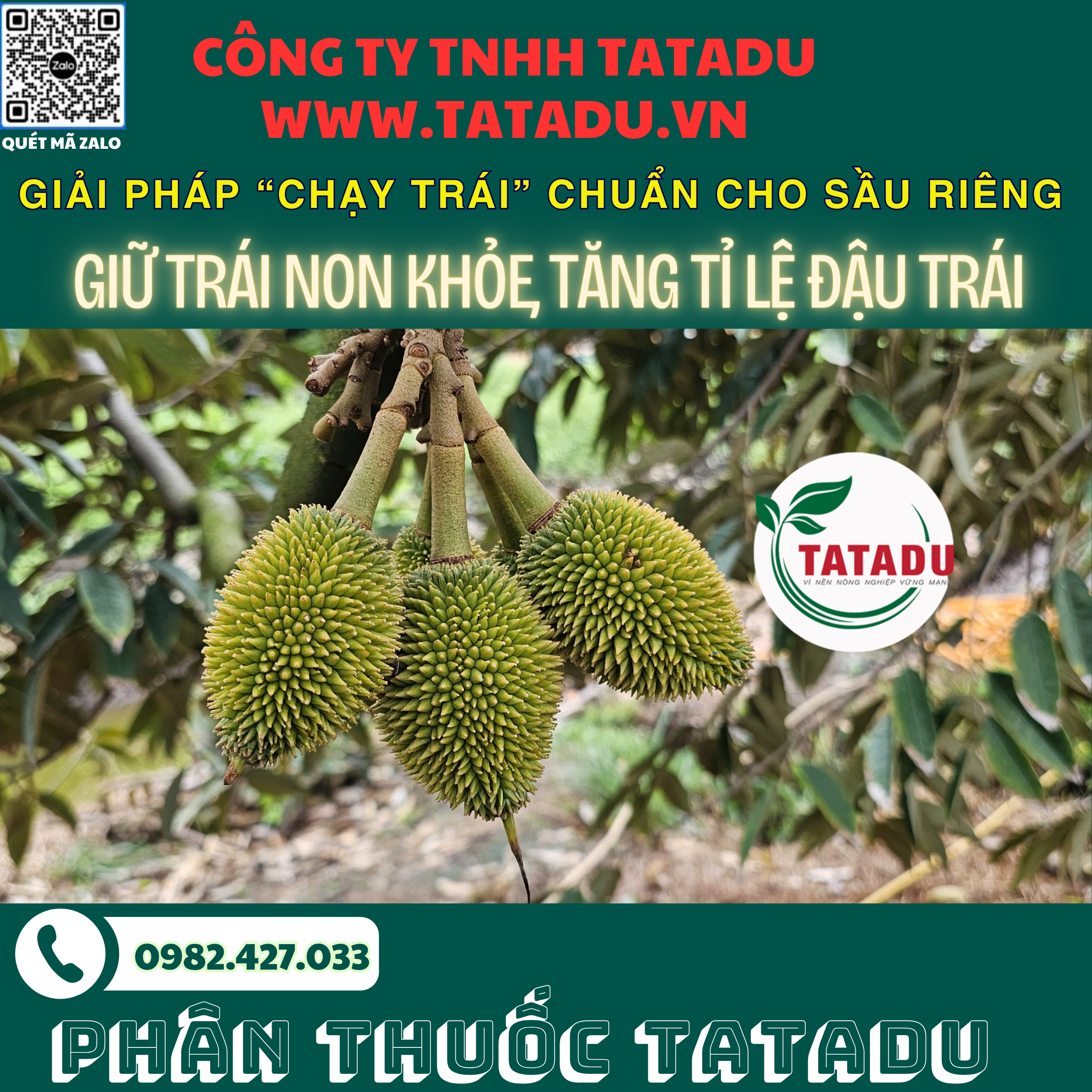 GIAI PHAP CHAY TRAI CHUAN CHO SAU RIENG