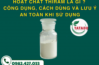 HOẠT CHẤT THIRAM LÀ GÌ? CÔNG DỤNG, CÁCH DÙNG VÀ LƯU Ý AN TOÀN KHI SỬ DỤNG