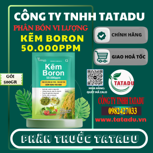 KEM BORON 50.000PPM