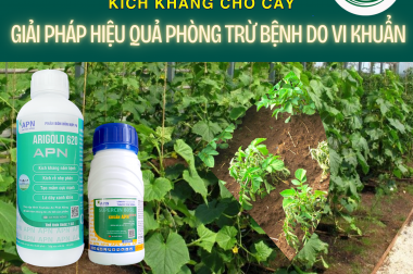 KÍCH KHÁNG CHO CÂY – GIẢI PHÁP HIỆU QUẢ PHÒNG TRỪ BỆNH DO VI KHUẨN