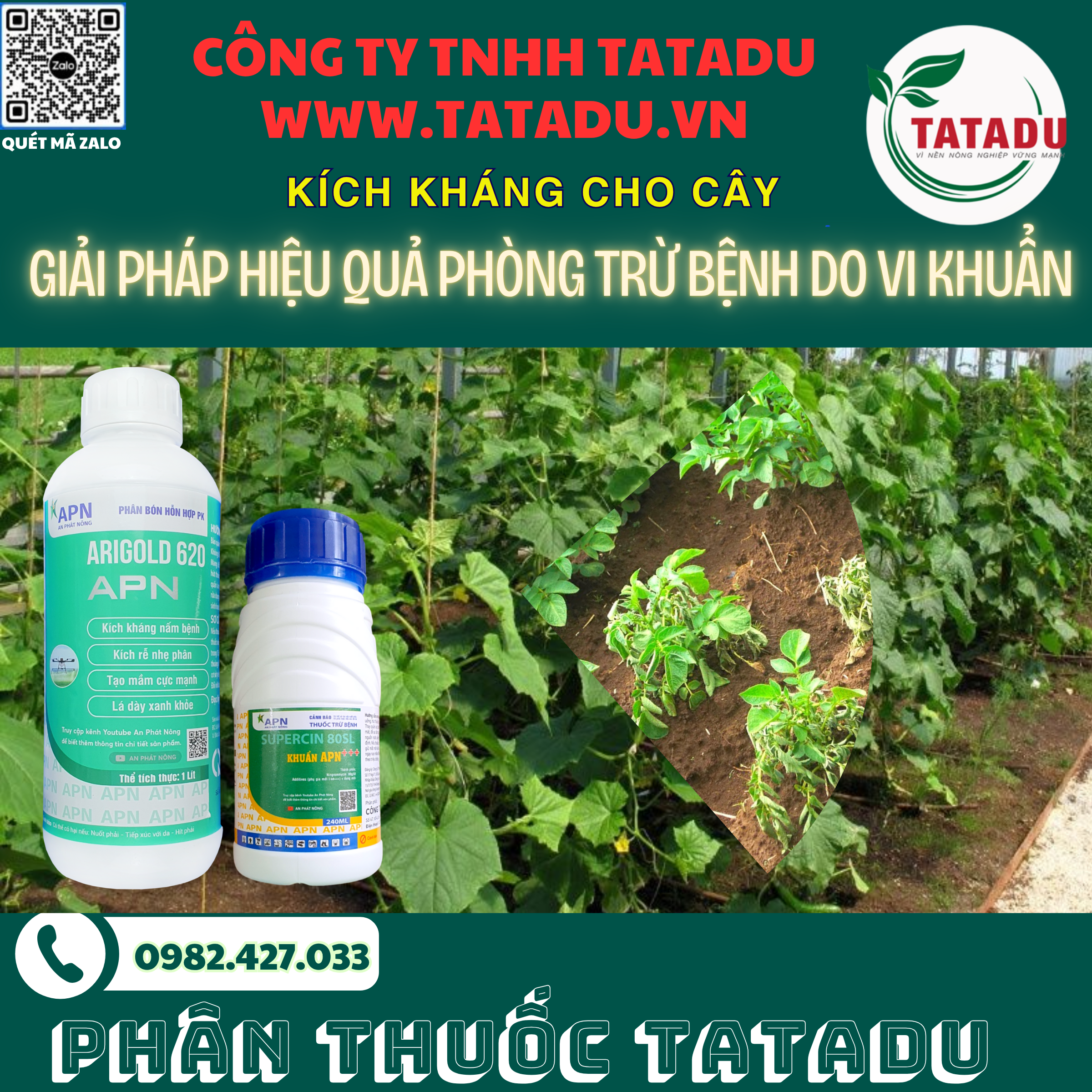 KICH KHANG CHO CAY GIAI PHAP HIEU QUA PHONG TRU BENH DO VI KHUAN KICH KHANG CHO CAY GIAI PHAP HIEU QUA PHONG TRU BENH DO VI KHUAN