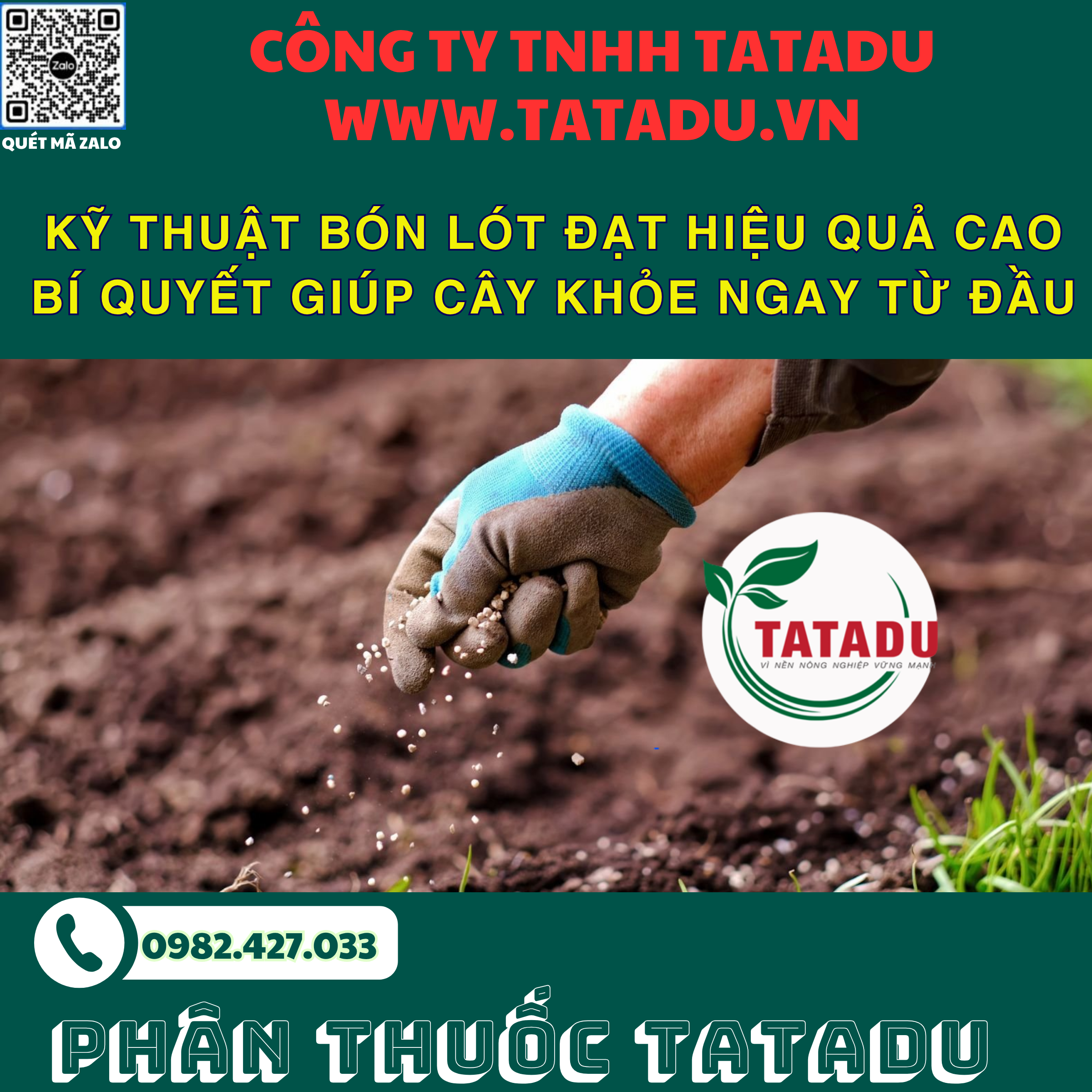 KY THUAT BON LOT DAT HIEU QUA CAO BI QUYET GIUP CAY KHOE NGAY TU DAU
