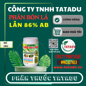 LAN 86 AB