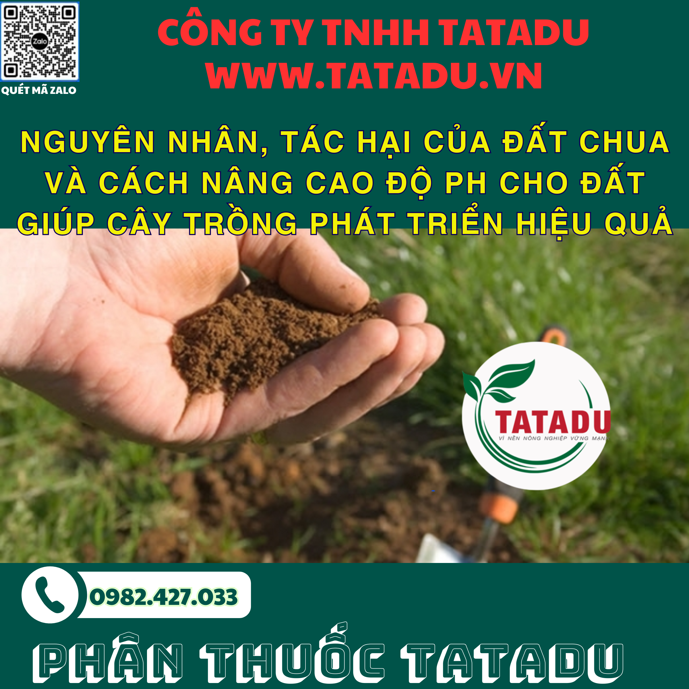 NGUYEN NHAN TAC HAI CUA DAT CHUA VA CACH NANG CAO DO pH CHO DAT GIUP CAY TRONG PHAT TRIEN HIEU QUA