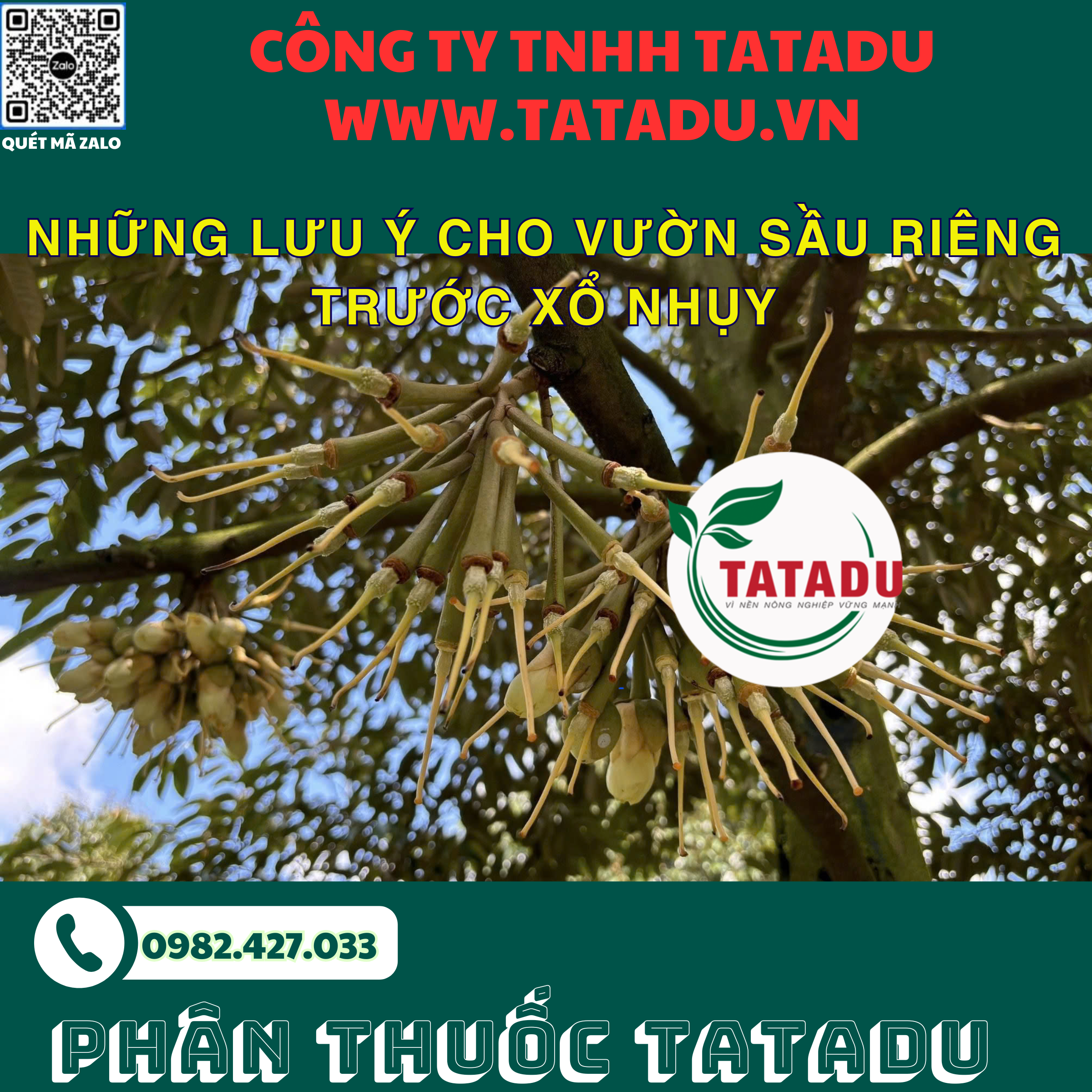 NHUNG LUU Y CHO VUON SAU RIENG TRUOC XO NHUY
