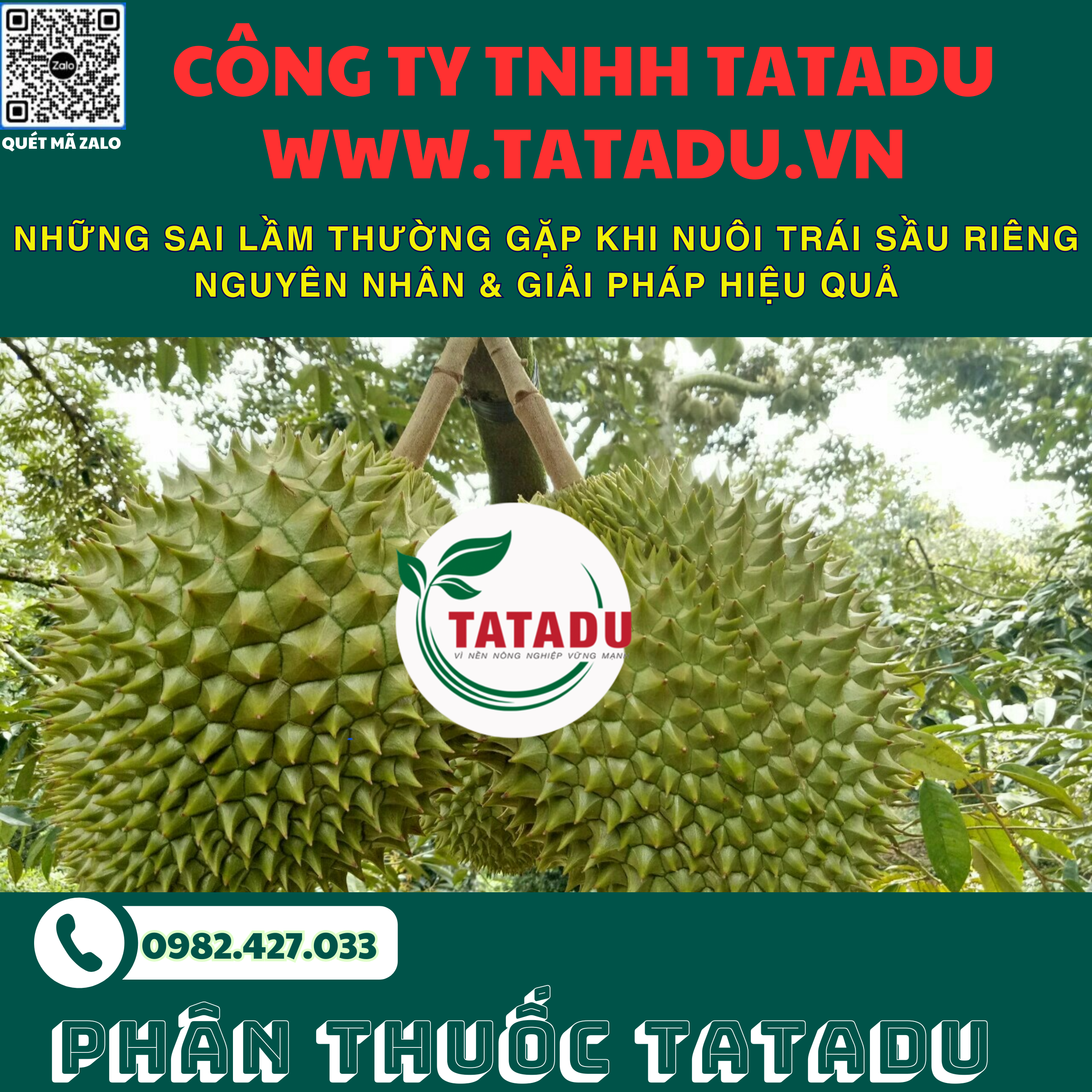 NHUNG SAI LAM THUONG GAP KHI NUOI TRAI SAU RIENG NGUYEN NHAN GIAI PHAP HIEU QUA