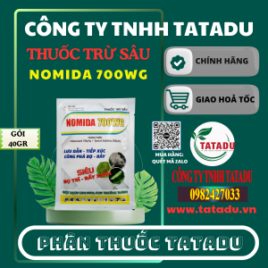 NOMIDA 700WG 2