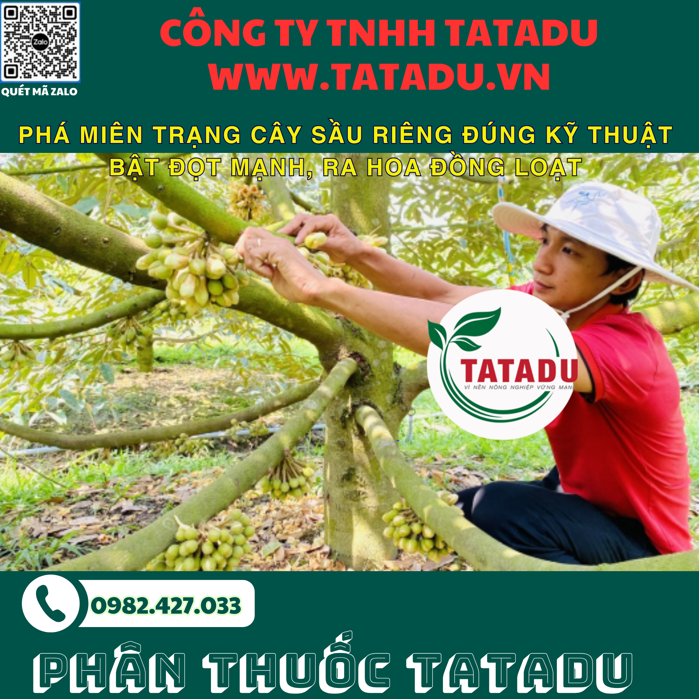 PHA MIEN TRANG CAY SAU RIENG DUNG KY THUAT BAT DOT MANH RA HOA DONG LOAT PHA MIEN TRANG CAY SAU RIENG DUNG KY THUAT BAT DOT MANH RA HOA DONG LOAT