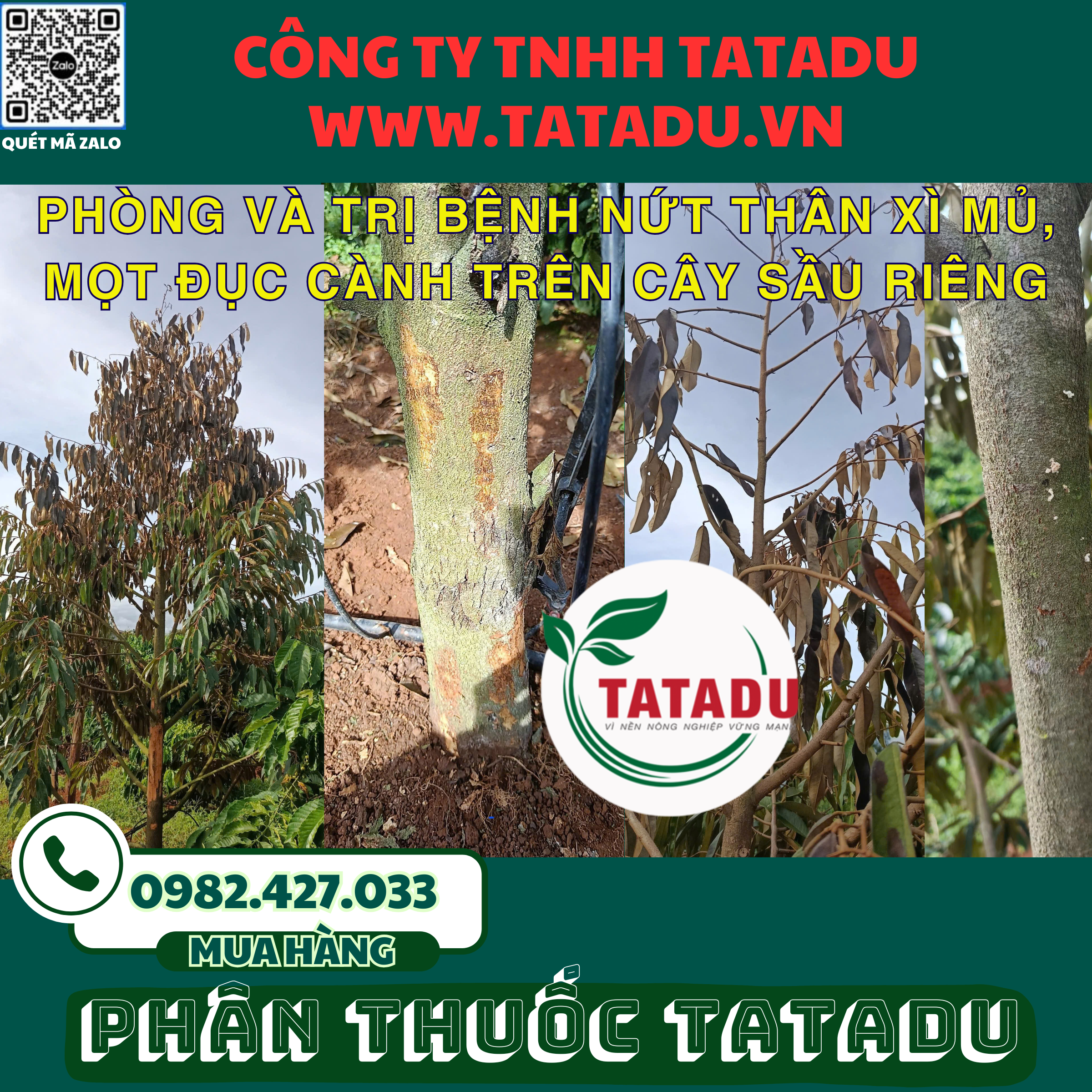 PHONG VA TRI BENH NUT THAN XI MU MOT DUC CANH TREN CAY SAU RIENG