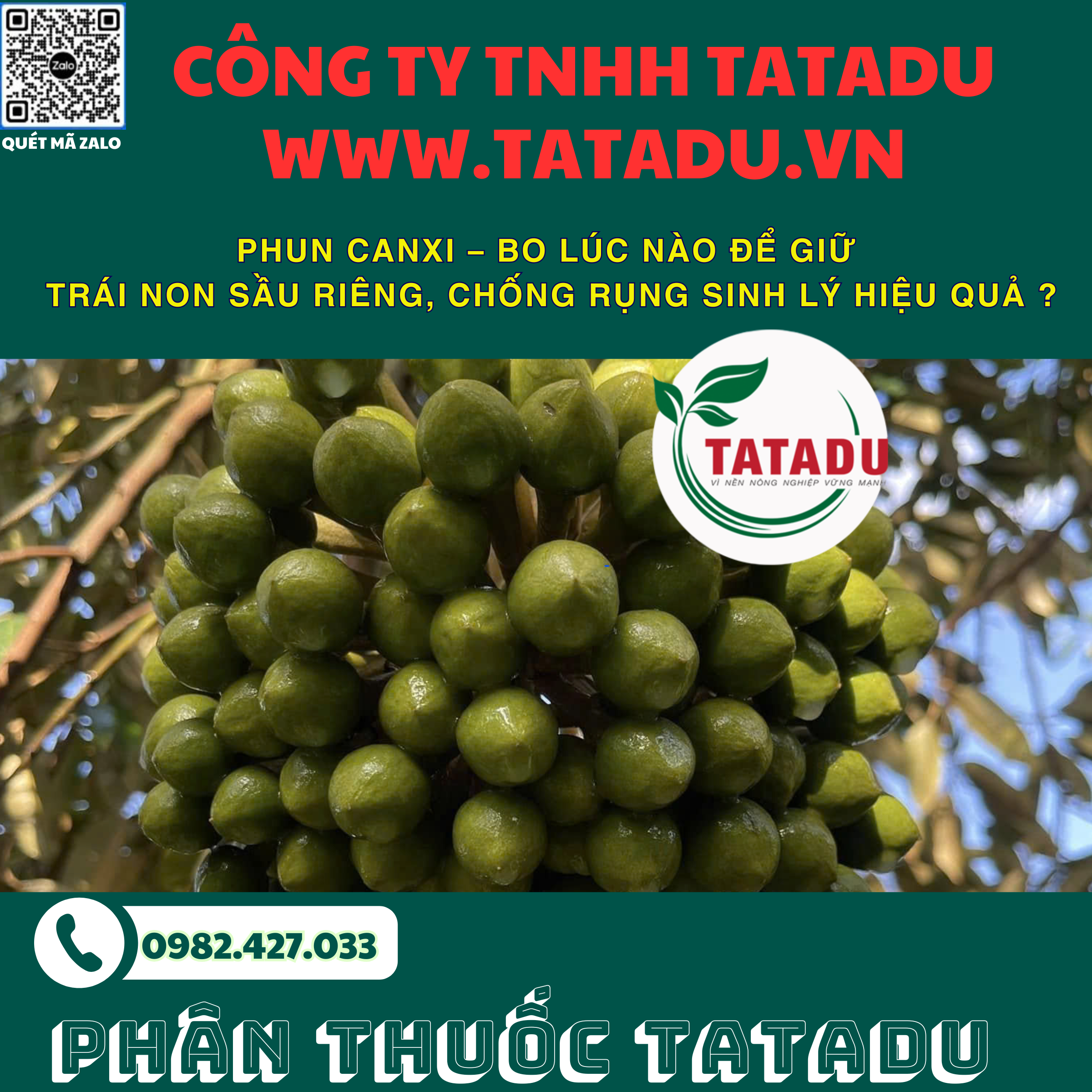 PHUN CANXI – BO LUC NAO DE GIU TRAI NON SAU RIENG CHONG RUNG SINH LY HIEU QUA