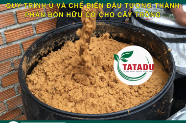 QUY TRÌNH Ủ VÀ CHẾ BIẾN ĐẬU TƯƠNG THÀNH PHÂN BÓN HỮU CƠ CHO CÂY TRỒNG