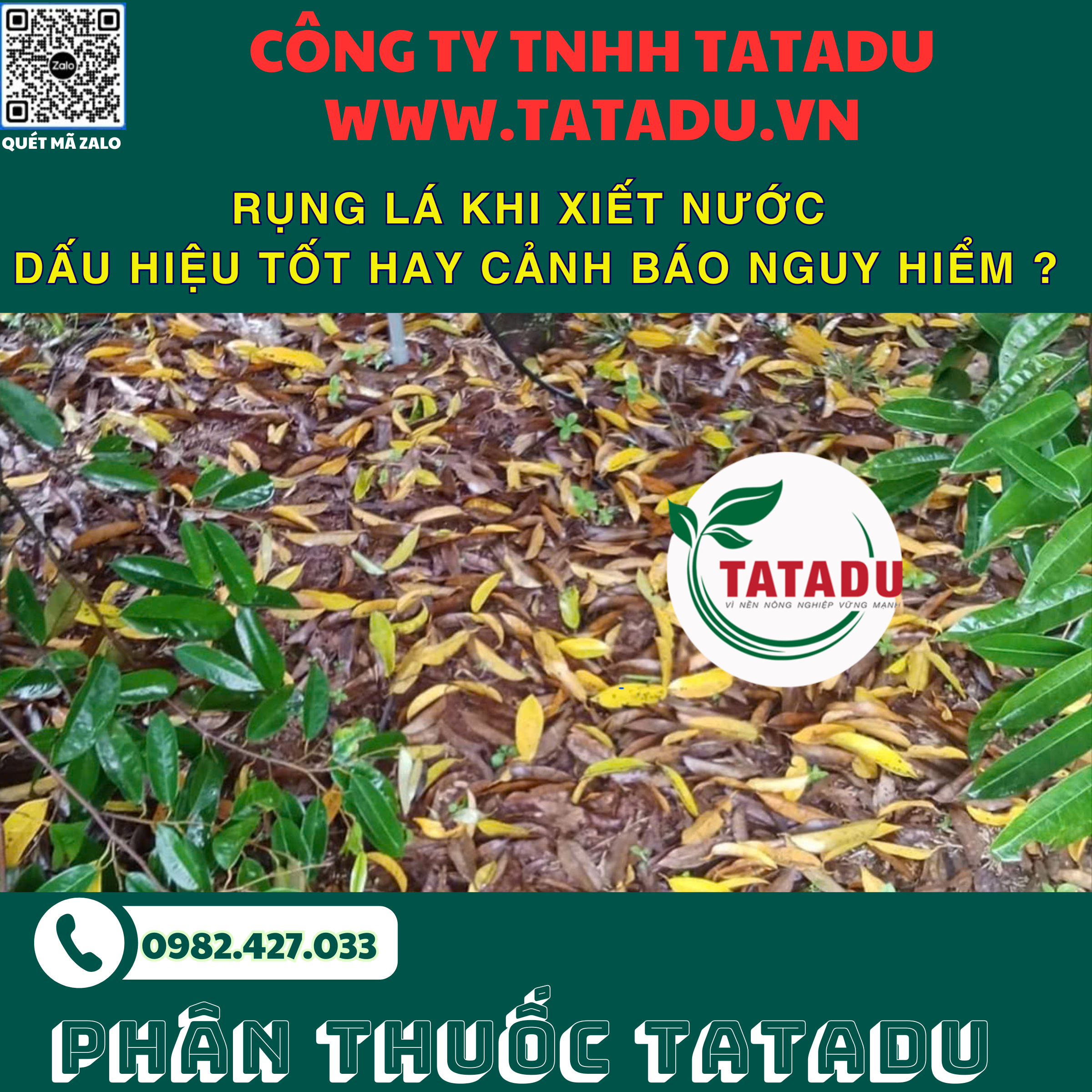 RUNG LA KHI XIET NUOC DAU HIEU TOT HAY CANH BAO NGUY HIEM
