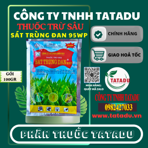 SAT TRUNG DAN 95WP