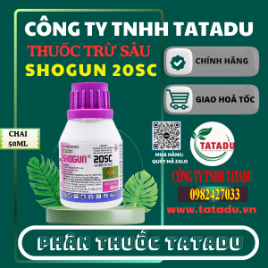SHOGUN 20SC 1