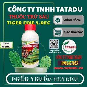 TIGER FIVE 5.0EC QUATAR