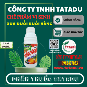 XUA DUOI RUOI VANG