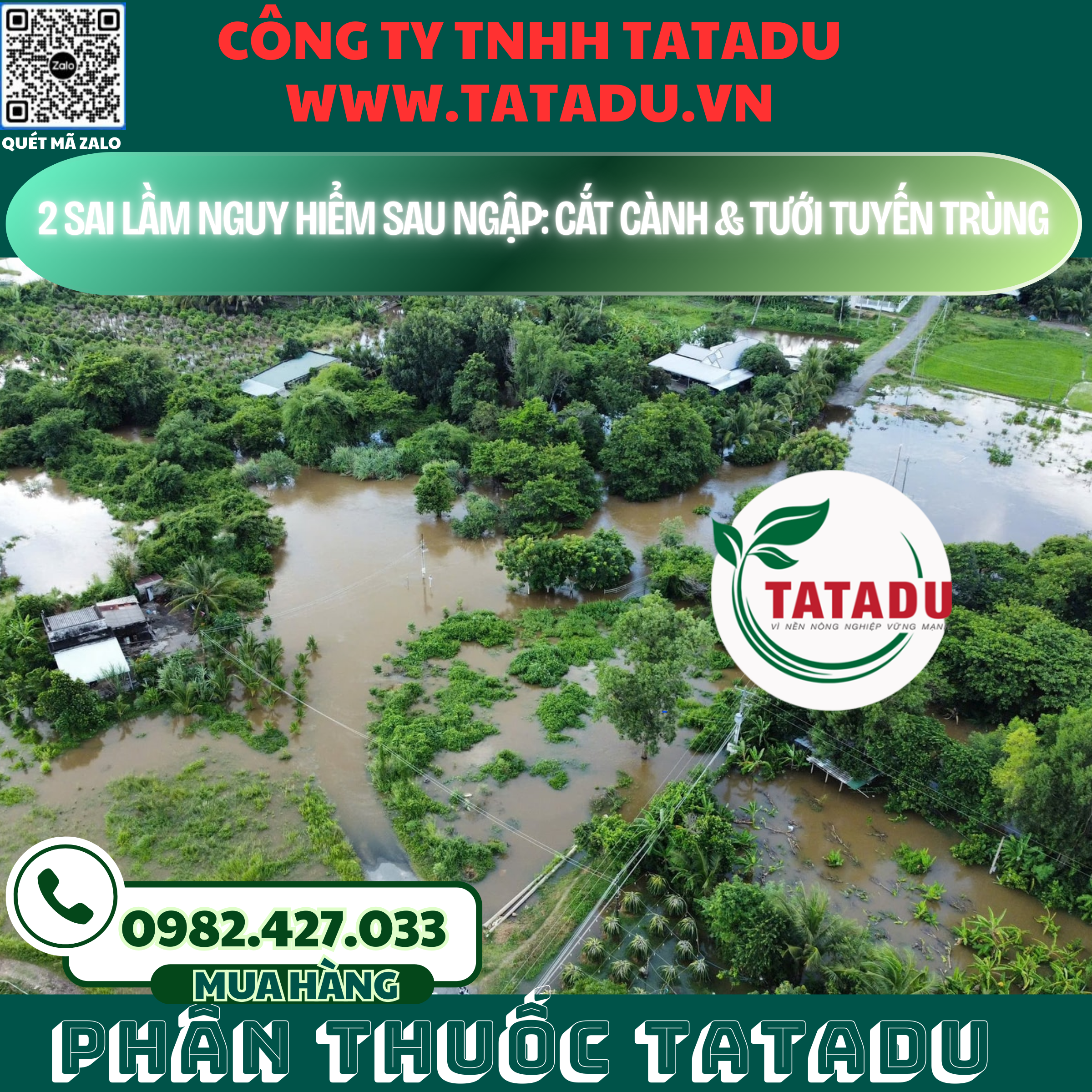 2 SAI LAM NGUY HIEM SAU NGAP CAT CANH TUOI TUYEN TRUNG