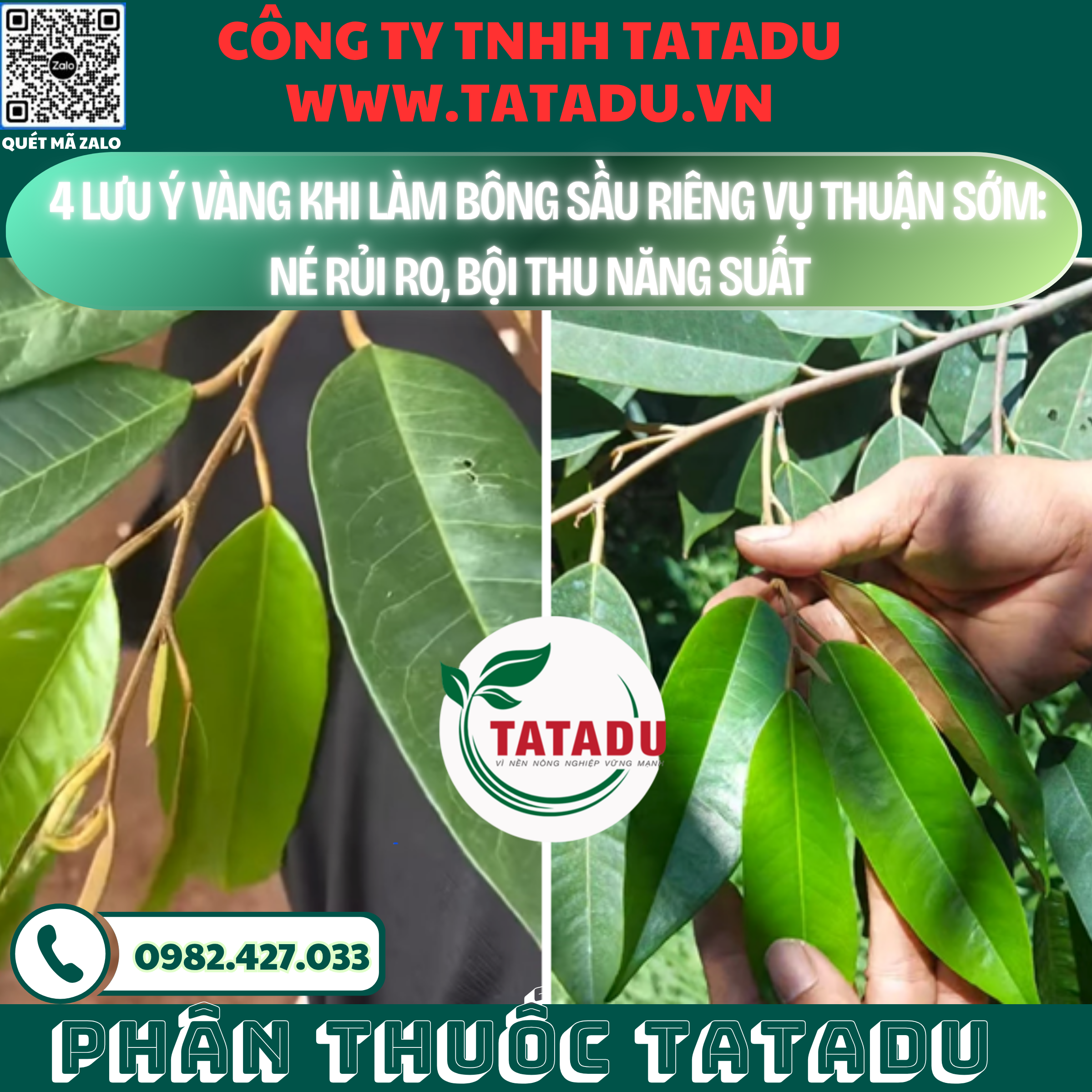 4 LUU Y VANG KHI LAM BONG SAU RIENG VU THUAN SOM NE RUI RO BOI THU NANG SUAT 4 LUU Y VANG KHI LAM BONG SAU RIENG VU THUAN SOM NE RUI RO BOI THU NANG SUAT