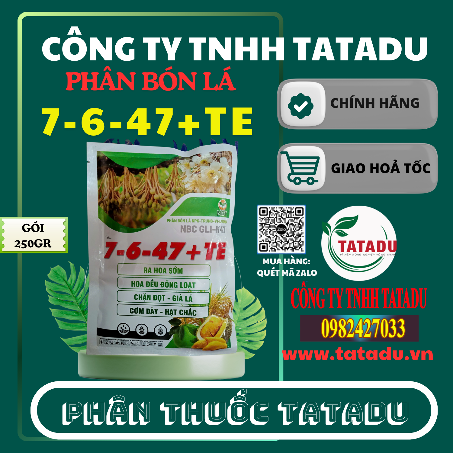 7-6-47 + TE