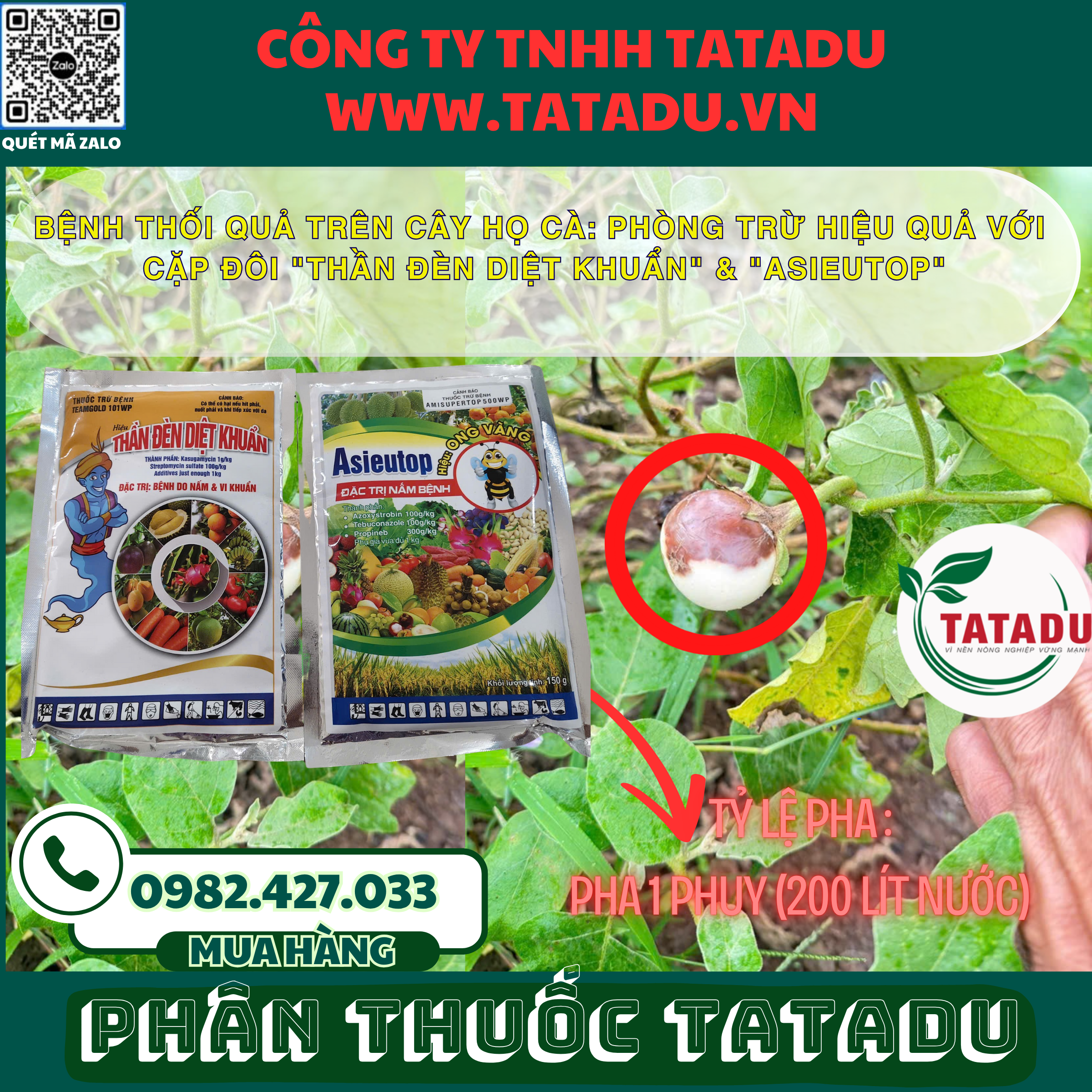 BENH THOI QUA TREN CAY HO CA PHONG TRU HIEU QUA VOI CAP DOI THAN DEN DIET KHUAN ASIEUTOP