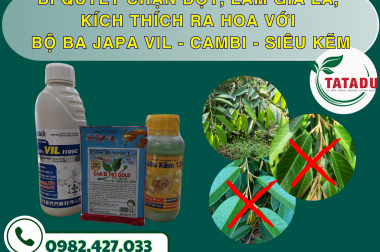 BÍ QUYẾT CHẶN ĐỌT, LÀM GIÀ LÁ, KÍCH THÍCH RA HOA VỚI BỘ BA JAPA VIL – CAMBI – SIÊU KẼM