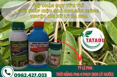 BỘ CHẶN ĐỌT TỨC THÌ – GIẢI PHÁP HIỆU QUẢ CHO SẦU RIÊNG TRƯỚC KHI XỬ LÝ RA HOA