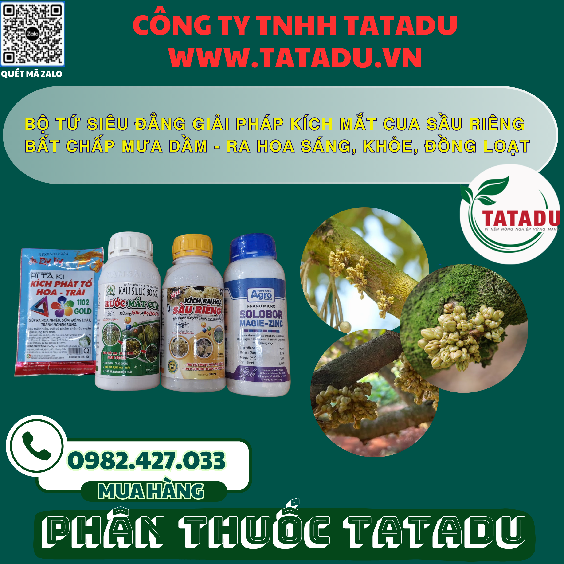 BO TU SIEU DANG GIAI PHAP KICH MAT CUA SAU RIENG BAT CHAP MUA DAM RA HOA SANG KHOE DONG LOAT