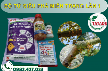 BỘ TỨ PHÁ MIÊN TRẠNG – KÍCH HOA CỰC MẠNH: GIẢI PHÁP RA HOA ĐỒNG LOẠT, DỨT ĐIỂM “NGỦ NGÀY”