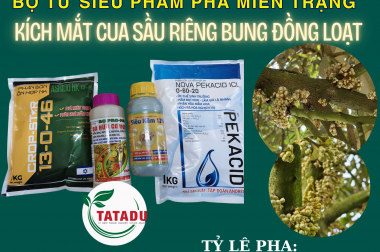 BỘ TỨ SIÊU PHẨM PHÁ MIÊN TRẠNG – KÍCH MẮT CUA SẦU RIÊNG BUNG ĐỒNG LOẠT