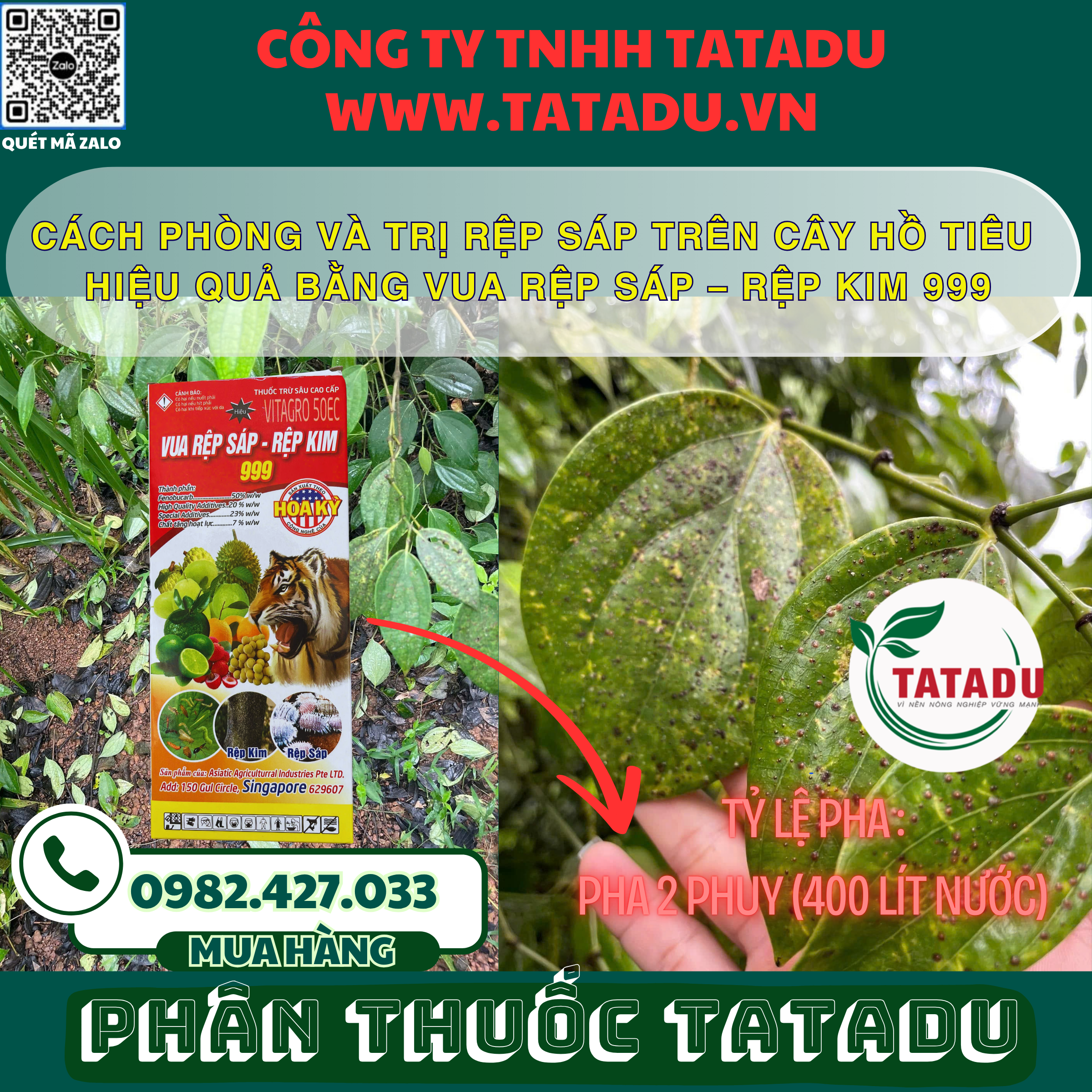 CACH PHONG VA TRI REP SAP TREN CAY HO TIEU HIEU QUA BANG VUA REP SAP – REP KIM 999