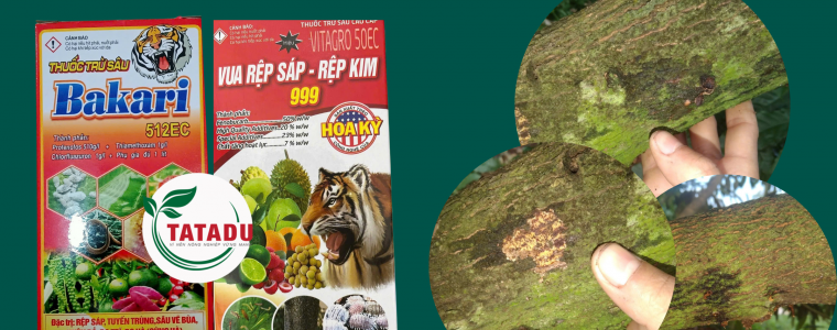 CANH BAO NGUY HIEM XI MU LAN RONG KEM REP SAP – MOT DUC CANH