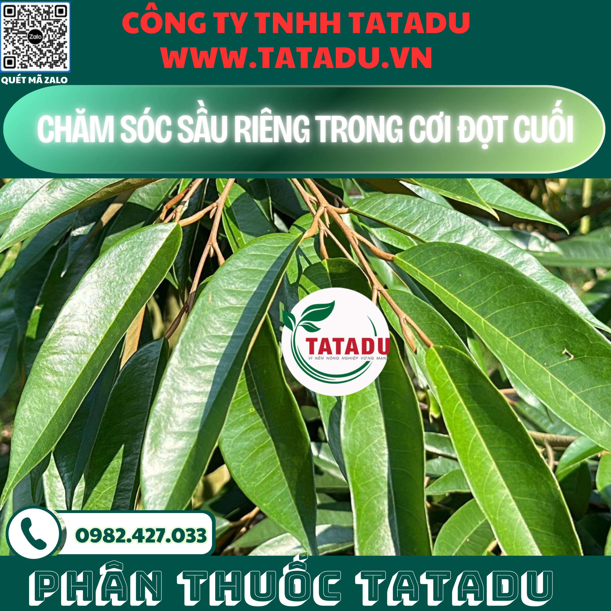 CHAM SOC SAU RIENG TRONG COI DOT CUOI 1
