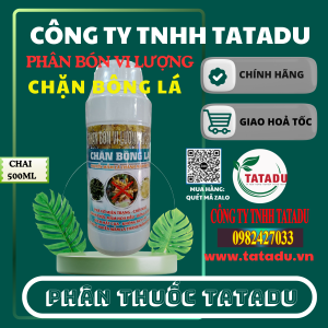 CHẶN BÔNG LÁ HITOCO