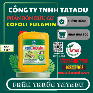 COFOLI FULAMIN BACONCO