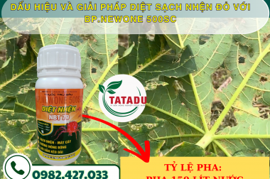 CỨU CÂY ĐU ĐỦ NGAY! DẤU HIỆU VÀ GIẢI PHÁP DIỆT SẠCH NHỆN ĐỎ VỚI BP.NEWONE 500SC