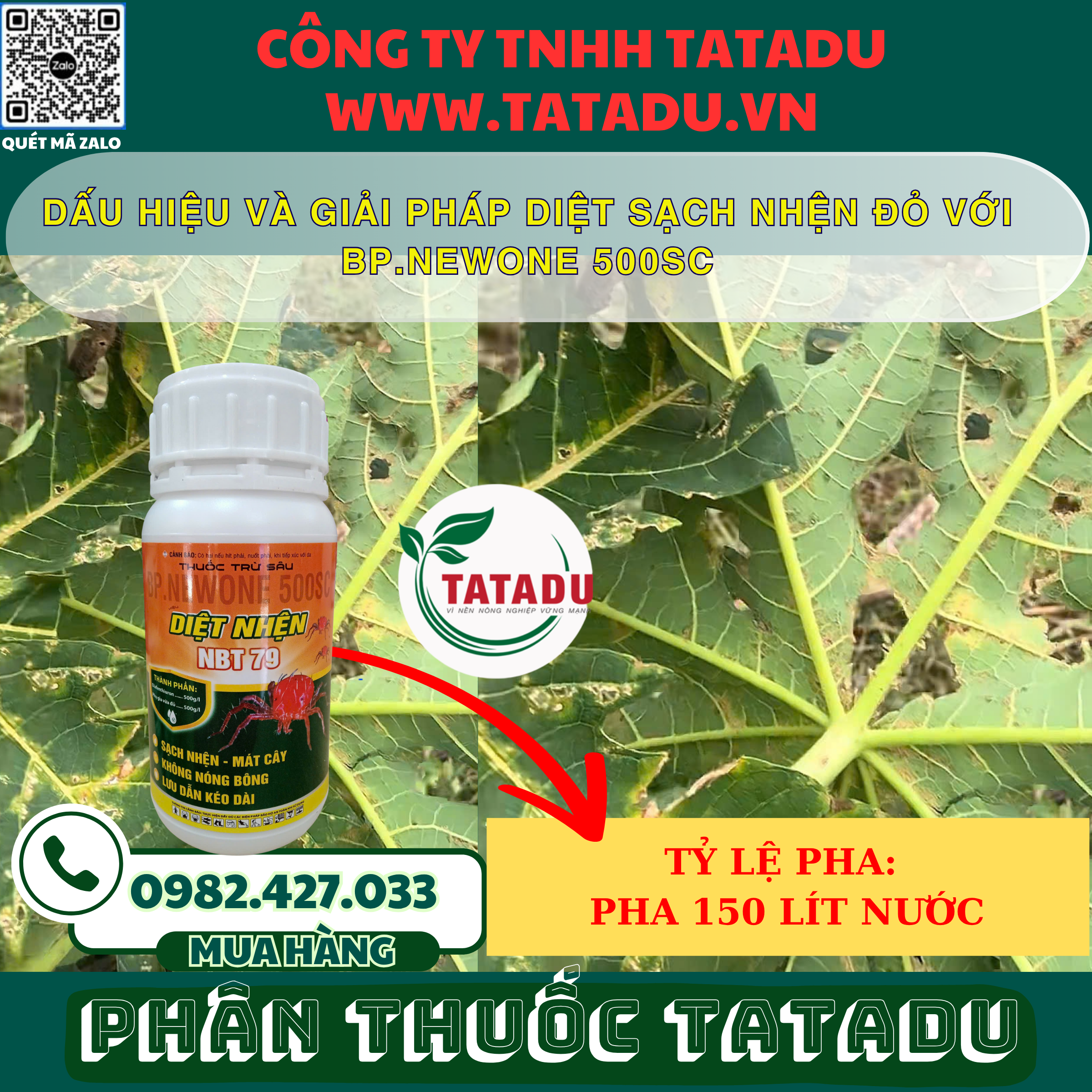 DAU HIEU VA GIAI PHAP DIET SACH NHEN DO VOI BP.NEWONE 500SC 1