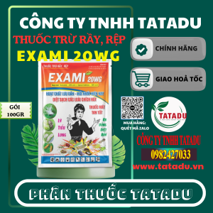 EXAMI 20WG
