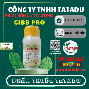 GIBB PRO CHAI 250ML